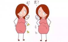 怀男孩时孕妇肚子形状图片